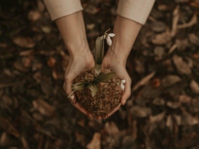 Niedojrzałość jako przyczyna stwierdzenia nieważności małżeństwa kościelnego (błędnie określanego rozwodem kościelnym)